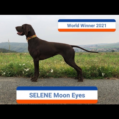 Selene Moon Eyes